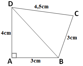 exercice d' application sur la contraposée du théorème de pythagore